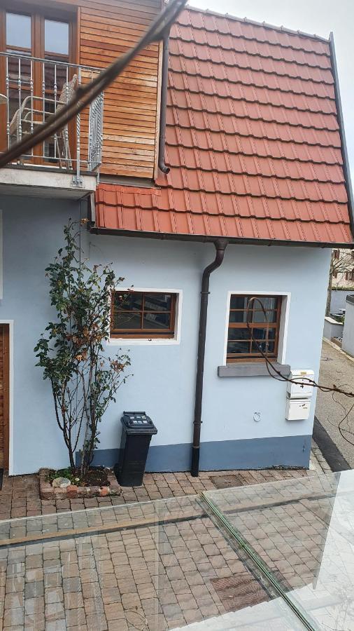 Ferienwohnung Im Bueckle Gottenheim Εξωτερικό φωτογραφία